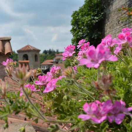 Dimora Storico Romantica Il Sole E La Luna Cerretto Langhe Exterior photo
